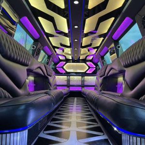 Party Bus