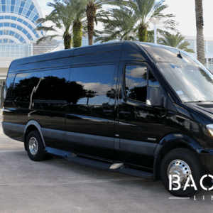 Mercedes Sprinter Limo