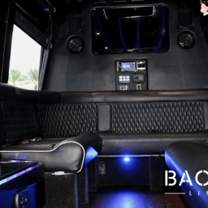 Mercedes Sprinter Limo