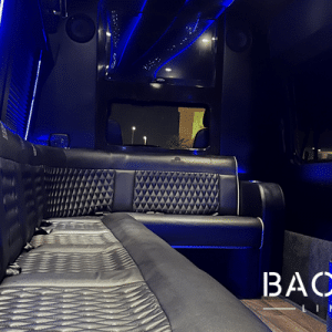 Mercedes Sprinter Limo