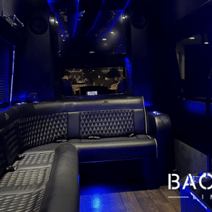 Mercedes Sprinter Limo