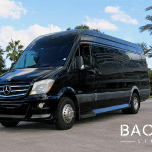 Mercedes Sprinter Limo