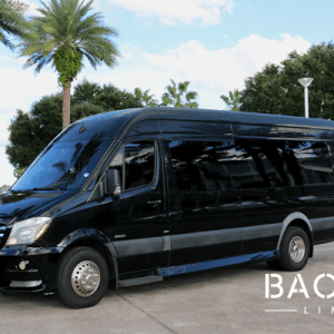 Mercedes Sprinter Limo